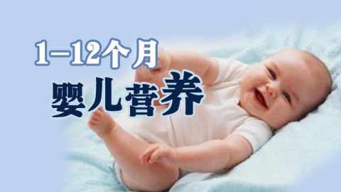 1-12个月婴儿营养